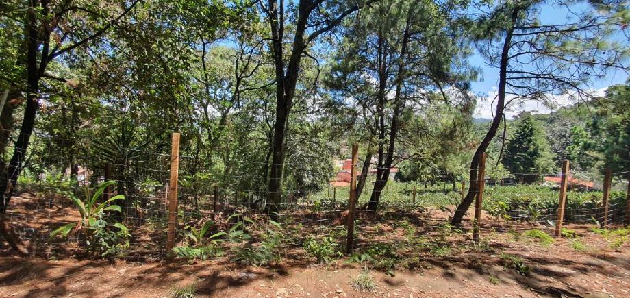 Imagen de terreno en venta en valle de bravo, valle de bravo, estado de méxico