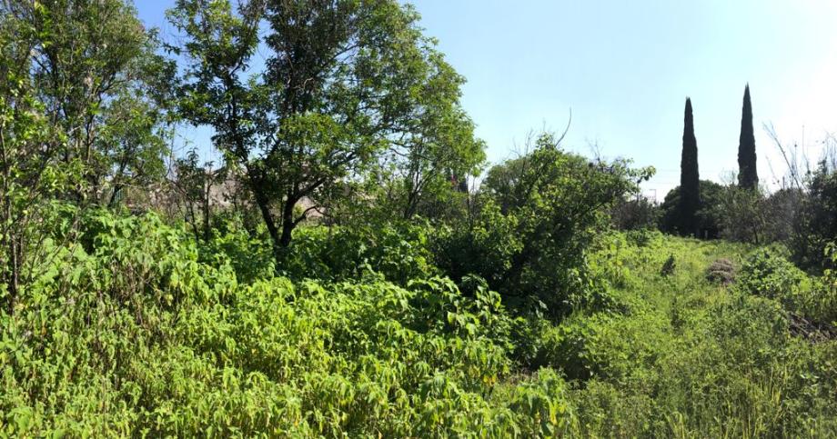 Imagen de terreno en renta en la conchita zapotitlán, tláhuac, ciudad de méxico