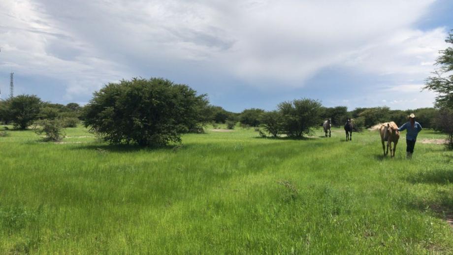 Imagen de terreno en venta en labor de guadalupe, durango, durango