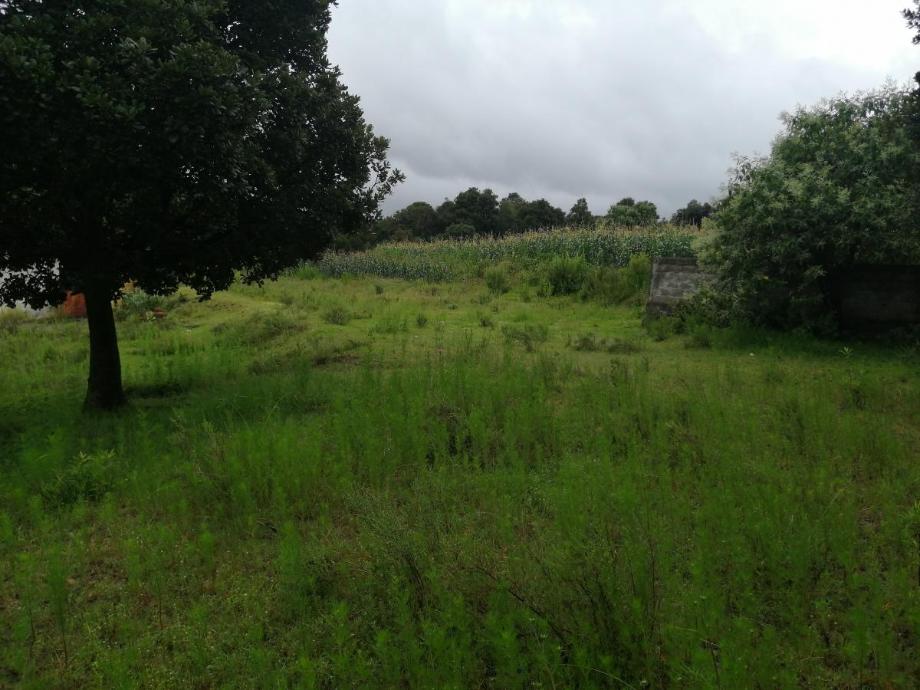 Imagen de terreno en venta en san lorenzo xaltelulco, cuaxomulco, tlaxcala