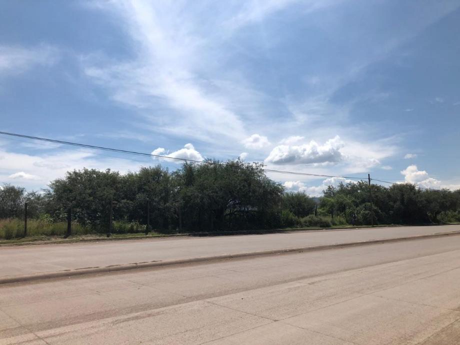 Imagen de terreno en renta en arroyo seco, durango, durango