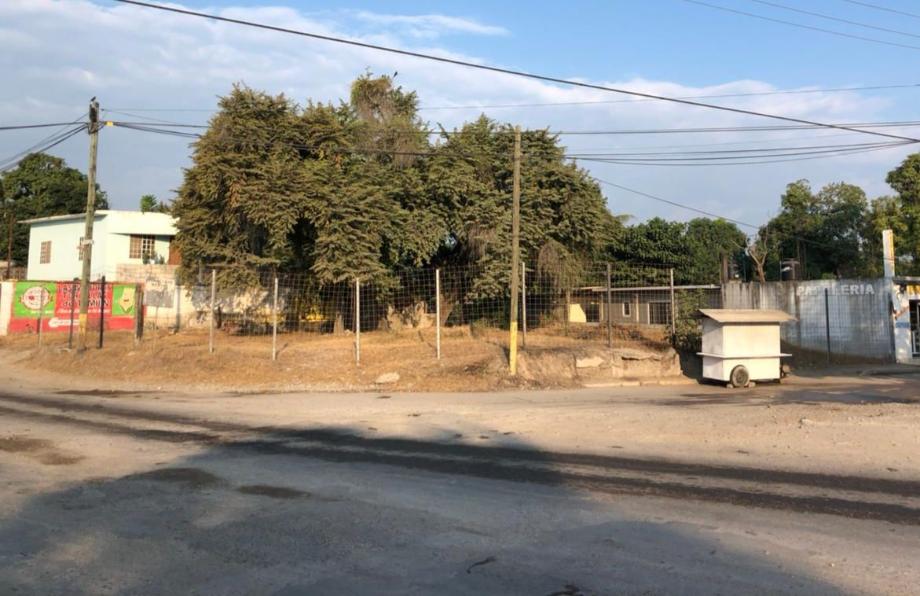 Imagen de terreno en renta en el campo, tamuín, san luis potosí