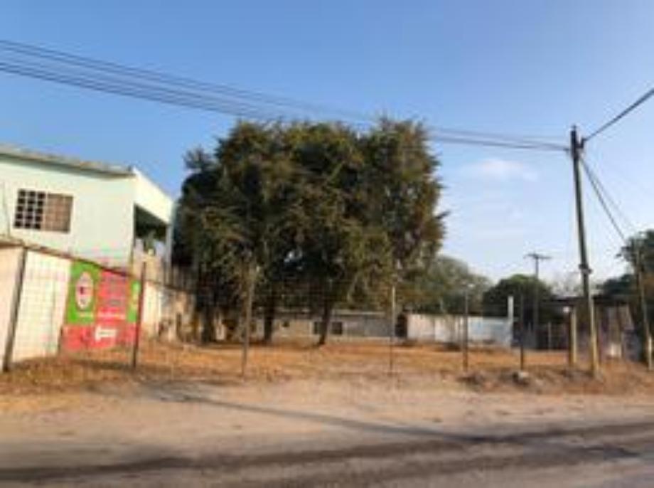 Imagen de terreno en renta en el campo, tamuín, san luis potosí