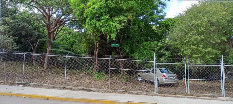 Imagen de terreno en renta en matumatza, tuxtla gutiérrez, chiapas