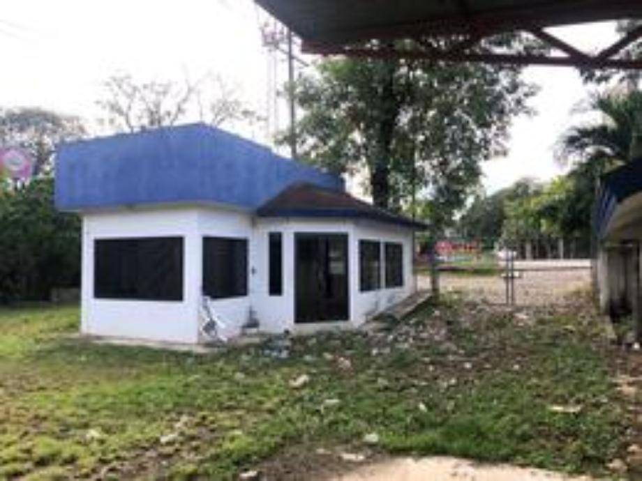 Imagen de terreno en renta en zacatipan, tamazunchale, san luis potosí
