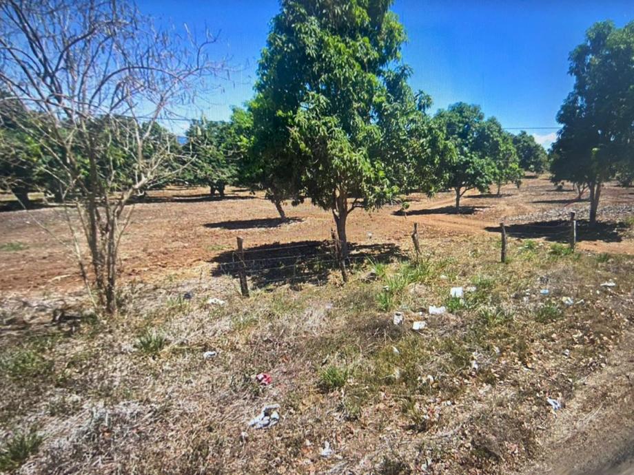 Imagen de terreno en venta en ixtapa de la concepción, compostela, nayarit