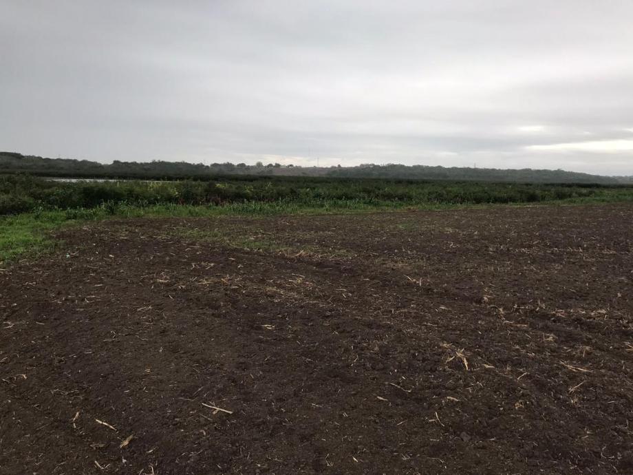 Imagen de terreno en venta en reventadero, pánuco, veracruz de ignacio de la llave