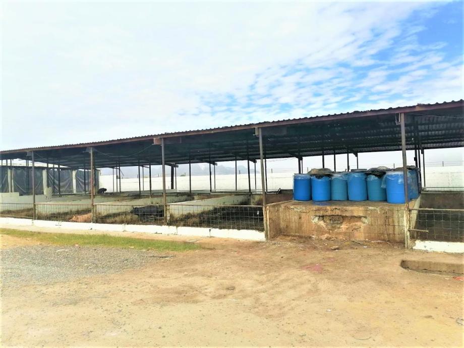 Imagen de bodega en venta en puente de la torreña, gómez palacio, durango