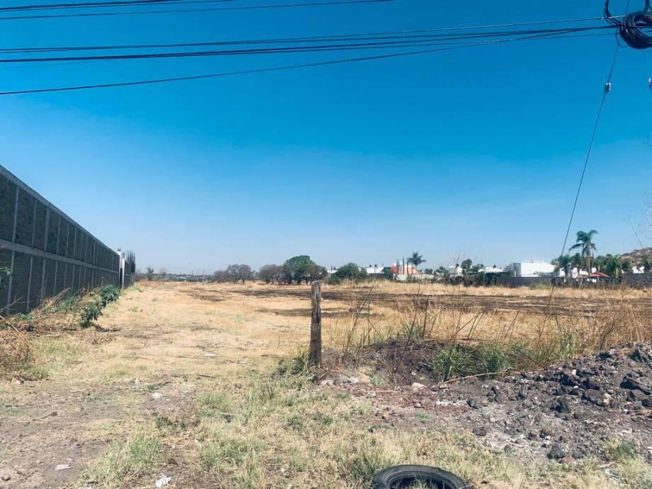 Imagen de terreno en renta en palo blanco, salamanca, guanajuato