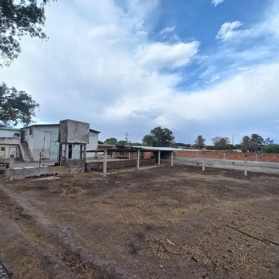 Imagen de terreno en renta en castro del río (parque tecnoindustrial), irapuato, guanajuato
