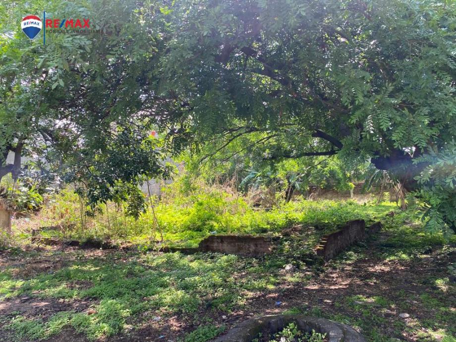 Imagen de terreno en venta en chamilpa, cuernavaca, morelos