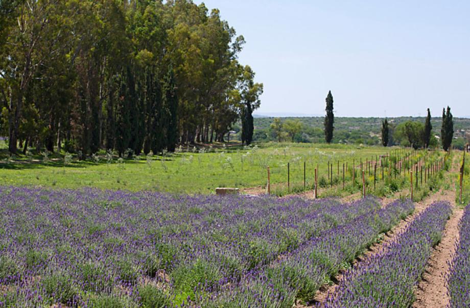 Imagen de terreno en venta en arcos de san miguel, san miguel de allende, guanajuato