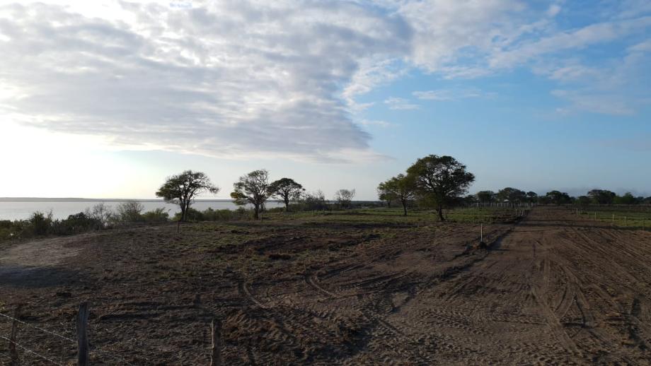 Imagen de terreno en venta en la pesca, soto la marina, tamaulipas