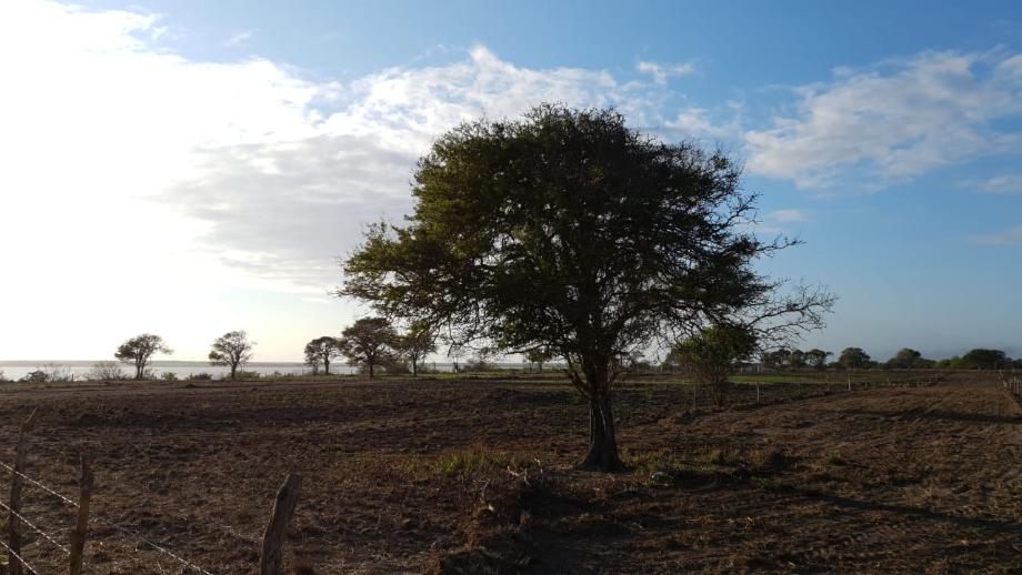 Imagen de terreno en venta en la pesca, soto la marina, tamaulipas
