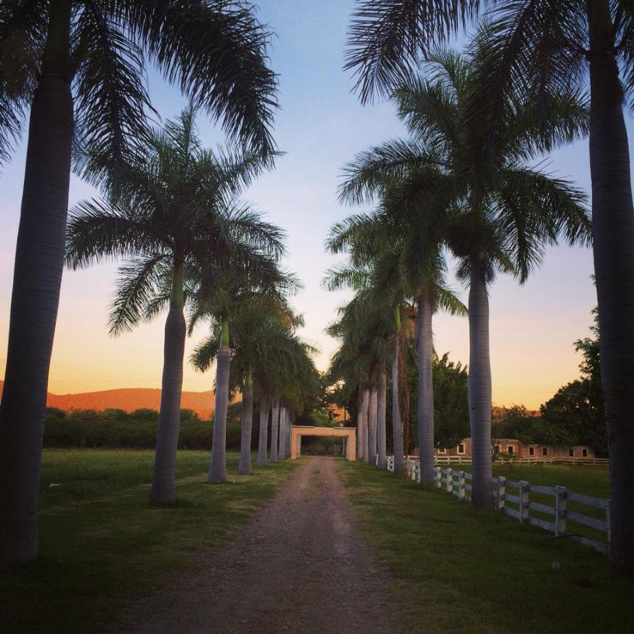 Imagen de terreno en venta en san juan epatlán, epatlán, puebla