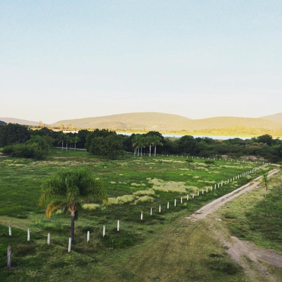Imagen de terreno en venta en san juan epatlán, epatlán, puebla