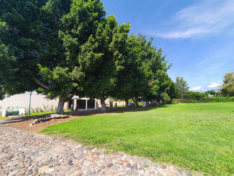 Imagen de terreno en venta en la moraleda, atlixco, puebla