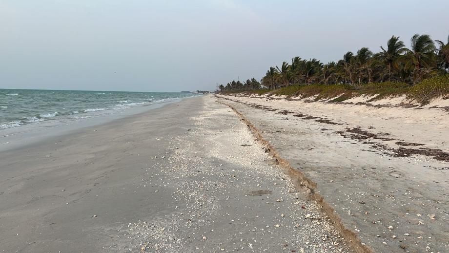 Imagen de terreno en venta en sabancuy, carmen, campeche