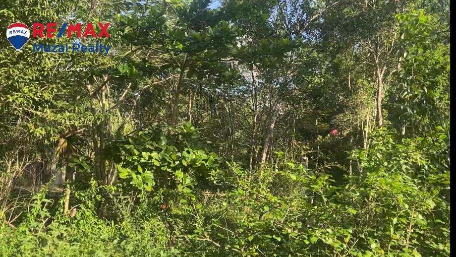 Imagen de terreno en venta en felipe carrillo puerto centro, felipe carrillo puerto, quintana roo