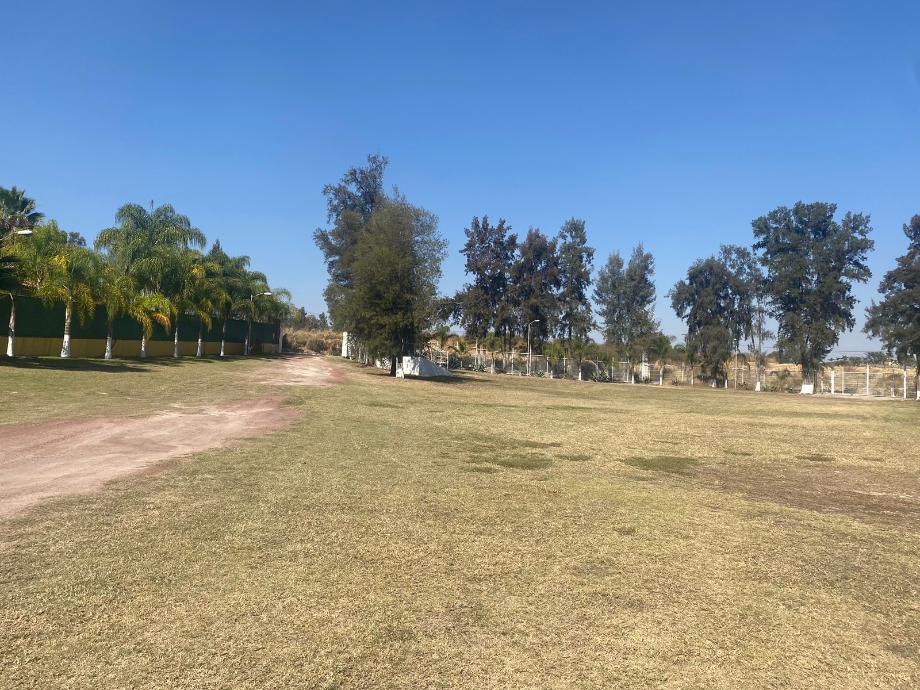 Imagen de terreno en venta en el maestranzo 1, zapotlanejo, jalisco