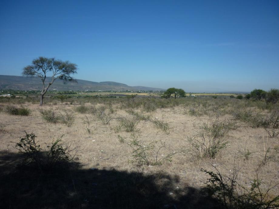 Imagen de terreno en venta en el secretario, apaseo el alto, guanajuato