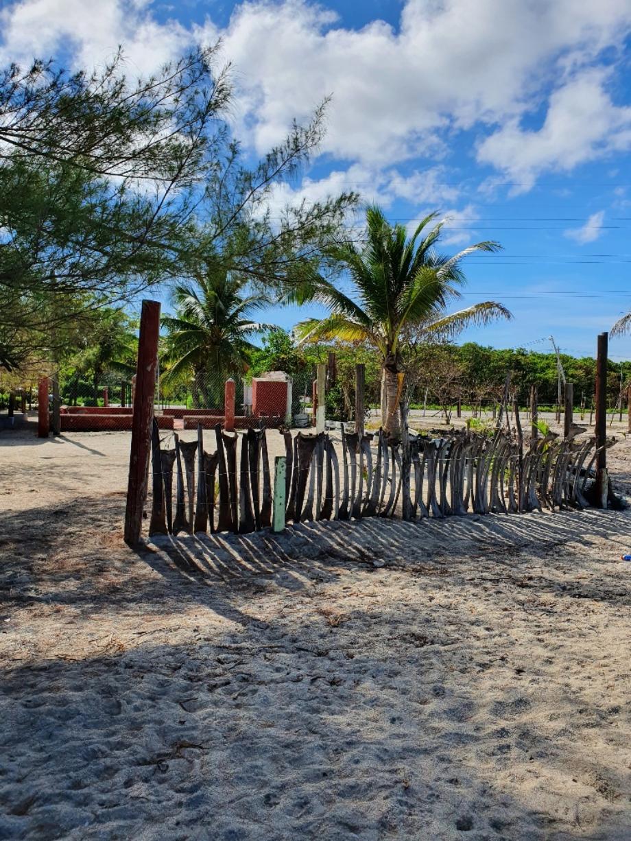 Imagen de terreno en venta en puerto real, carmen, campeche