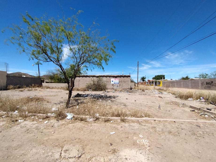 Imagen de terreno en renta en palmares, empalme, sonora