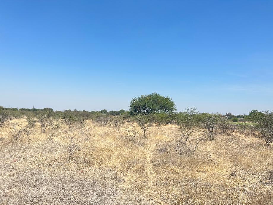 Imagen de terreno en venta en el vicario, apaseo el grande, guanajuato