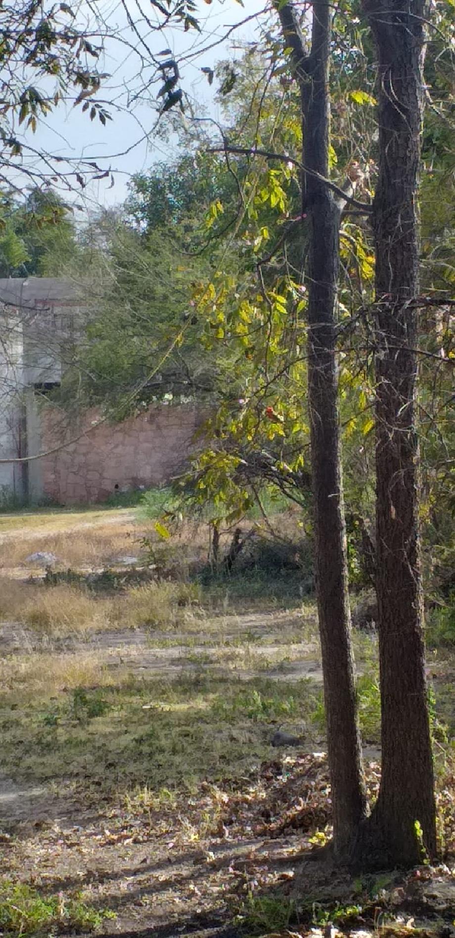 Imagen de terreno en venta en hidalgo sur 6ta. manzana, tecozautla, hidalgo