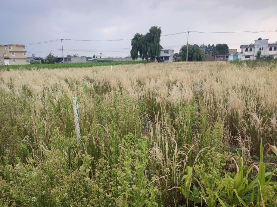 Imagen de terreno en venta en san diego de los padres cuexcontitlán, toluca, estado de méxico