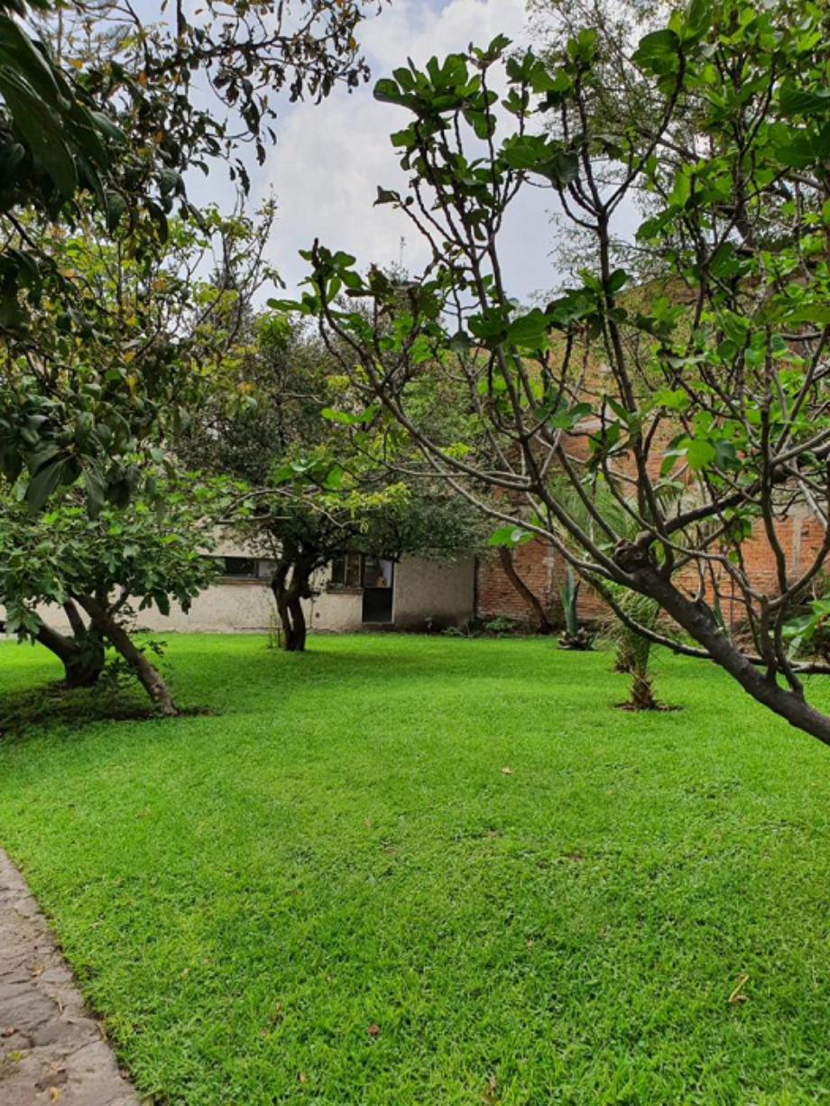 Imagen de terreno en venta en alfonso xiii, álvaro obregón, ciudad de méxico