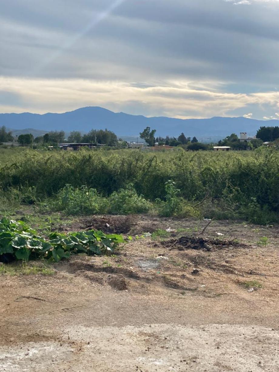 Imagen de terreno en venta en santo domingo barrio alto, villa de etla, oaxaca