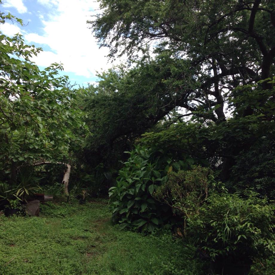 Imagen de terreno en venta en las fincas, jiutepec, morelos