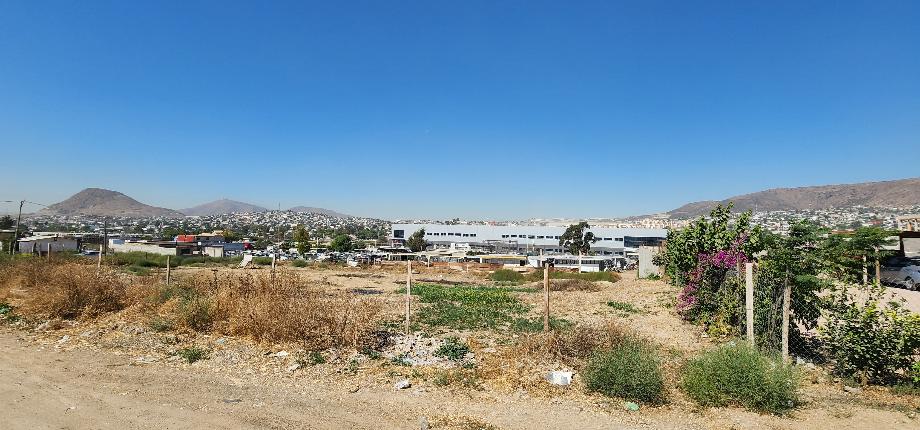 Imagen de terreno en renta en viñedos casa blanca, tijuana, baja california