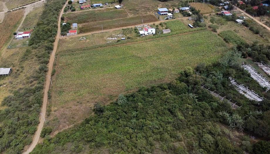 Imagen de terreno en venta en santa cruz etla, san pablo etla, oaxaca