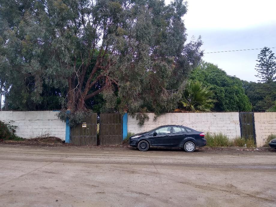 Imagen de bodega en venta en el sauzal, ensenada, baja california