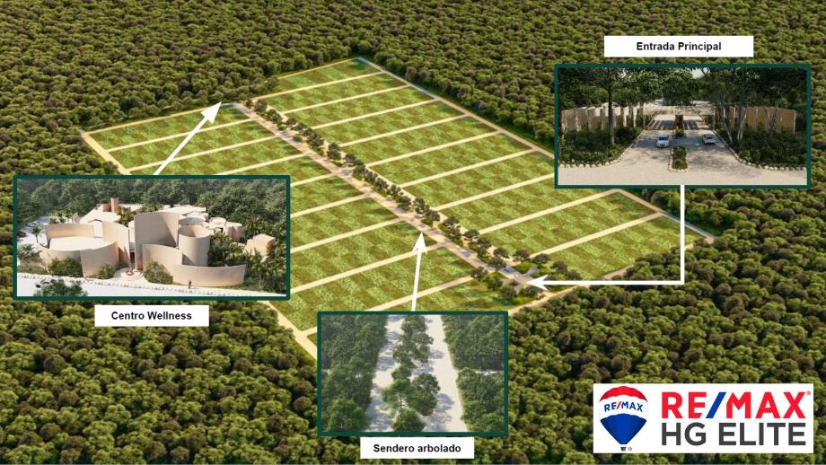 Imagen de terreno en venta en chelem, progreso, yucatán