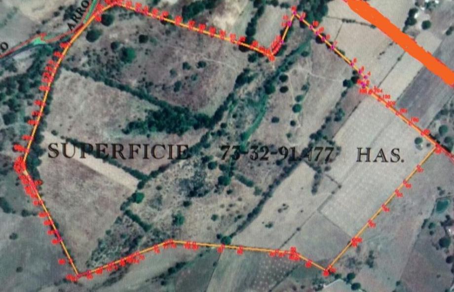 Imagen de terreno en venta en villa corzo, villa corzo, chiapas