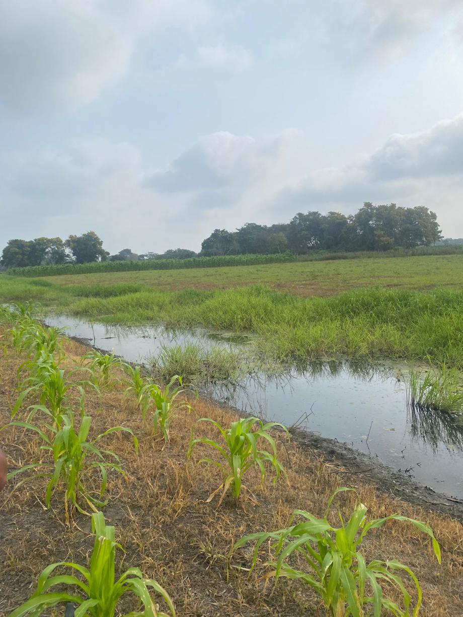 Imagen de terreno en venta en la manga ii, centro, tabasco