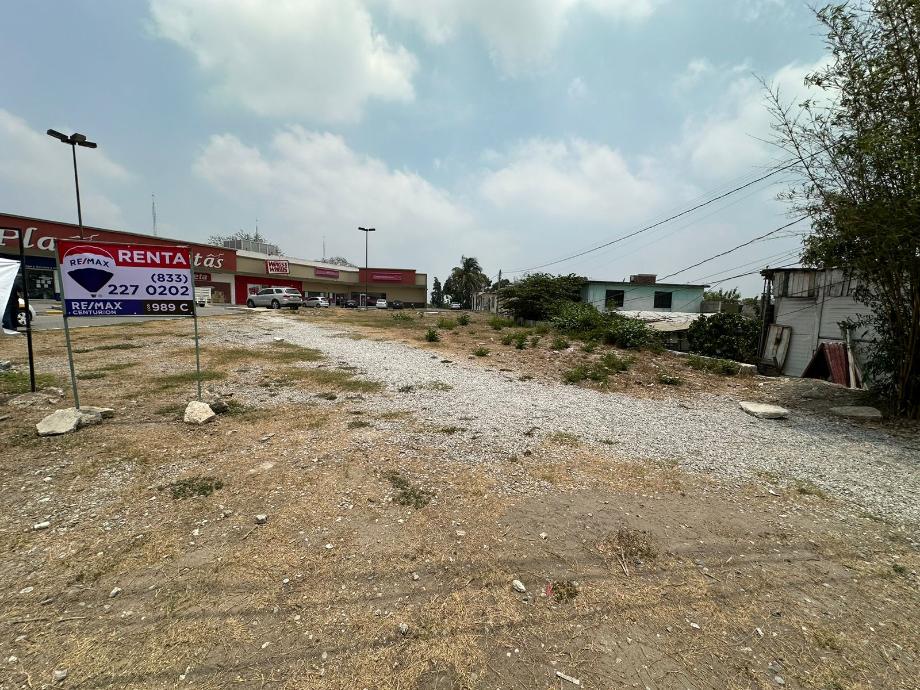 Imagen de terreno en renta en la potosina, altamira, tamaulipas
