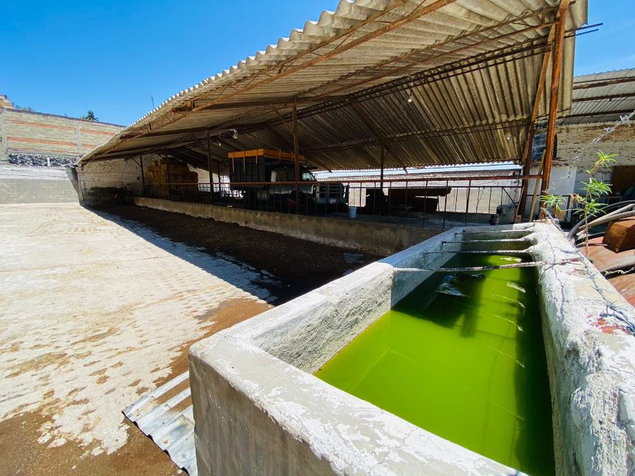Imagen de bodega en renta en chipilo de francisco javier mina, san gregorio atzompa, puebla