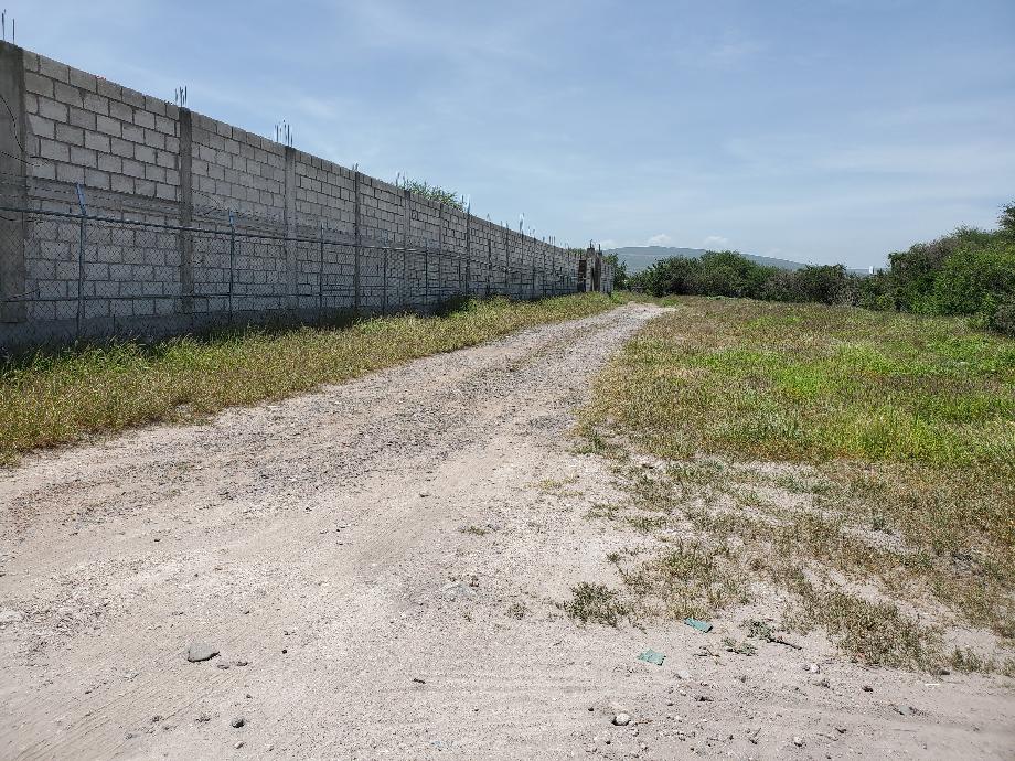 Imagen de terreno en renta en fraccionamiento la vida, corregidora, querétaro