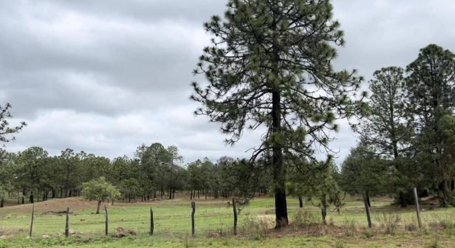 Imagen de terreno en venta en llano grande, durango, durango