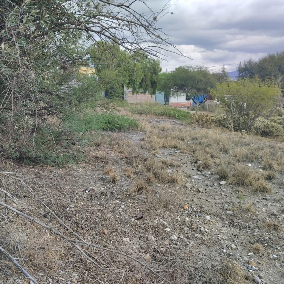 Imagen de terreno en venta en el cerrito, actopan, hidalgo