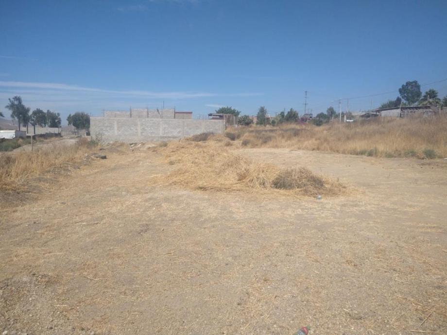 Imagen de terreno en renta en viñedos casa blanca, tijuana, baja california