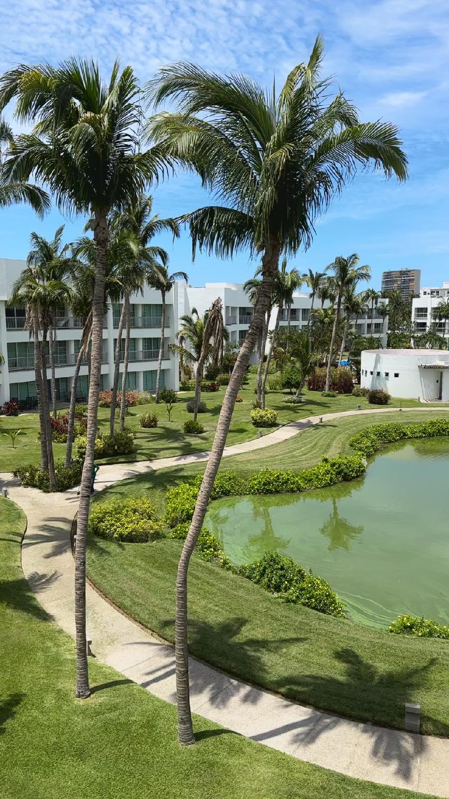 Imagen de departamento en venta en la zanja o la poza, acapulco de juárez, guerrero