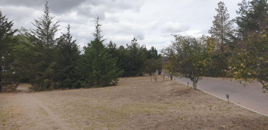 Imagen de terreno en venta en la preciosa, huamantla, tlaxcala