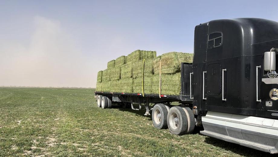 Imagen de terreno en venta en san juan de banderas, tlahualilo, durango