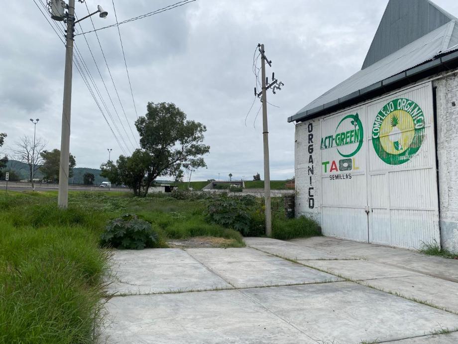 Imagen de bodega en renta en los pinos, abasolo, guanajuato