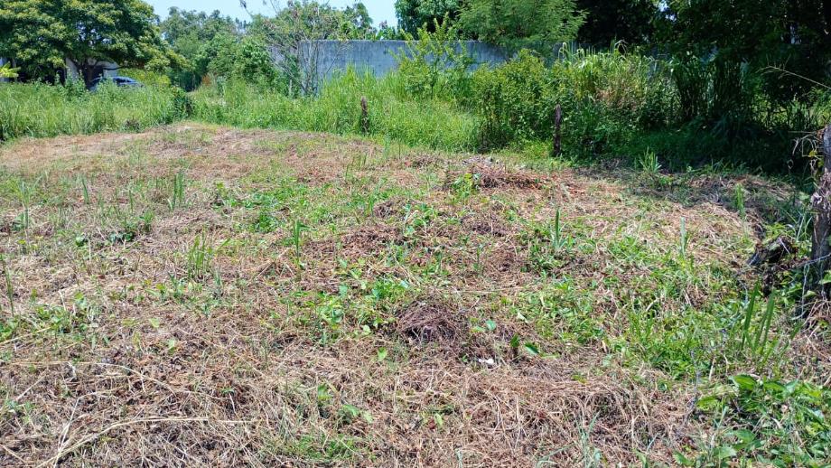 Imagen de terreno en venta en parrilla, centro, tabasco